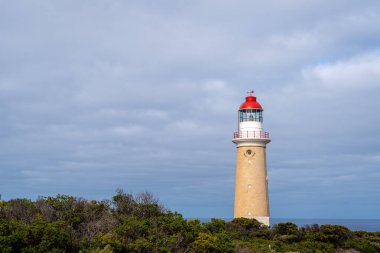 Cape Du Couedic deniz feneri Avustralya 'nın Kanguru Adası' ndaki Flinders Chase Ulusal Parkı 'nda kıyı bitkilerinin arasında yer alır. Kırmızı ve beyaz tepesi bulutlu gökyüzü ile çelişiyor.