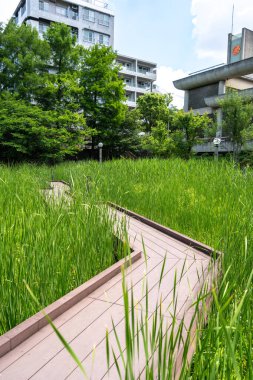 Osaka 'daki Tennoji Parkı' nda, sık yeşil çimlerin arasından huzurlu bir ahşap yürüyüş yolu esiyor. Şehrin göbeğinde huzurlu bir kaçış öneriyor.