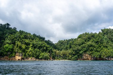 Togian Adaları, Sulawesi, Endonezya 'nın ücra bir adasında palmiye ağaçları ve yemyeşil ormanlarla kaplı gizli bir cennet.