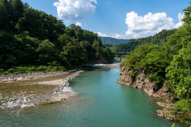 Sho Nehri, ormanlık dağlar ve huzurlu bir yaz manzarasında geleneksel sazdan evler ile çevrili Shirakawa-go 'da usulca esiyor.
