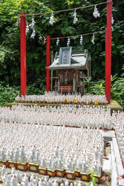 Binlerce küçük beyaz tilki heykeli Sasuke Inari-jinja 'daki minyatür bir mabedin önüne ithaf edilerek, İlahi Inari' ye sunulan hediyeleri sembolize ediyor. Kamakura, Japonya