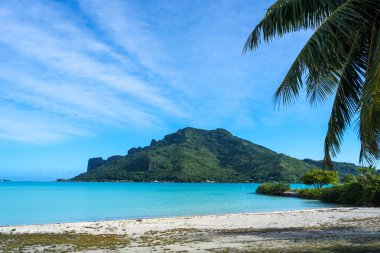 Palmiye ağaçlarıyla kaplı el değmemiş bir sahilden Maupiti Adası 'nın göz kamaştırıcı manzarası Fransız Polinezyası' nda turkuaz suları ve yemyeşil bir manzara sunuyor.