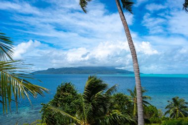 Ön planda palmiye ağaçları olan Raiatea Adası 'nın nefes kesici bir görüntüsü, Fransız Polinezyası' ndaki Tahaa 'dan çekilmiş, sakin bir tropikal manzara sunuyor.