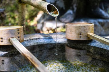 Japonya 'nın Hiroşima kentindeki Mitaki-Dera tapınağındaki Chozuya taş havzasına yerleştirilmiş tahta hishaku kepçesi.