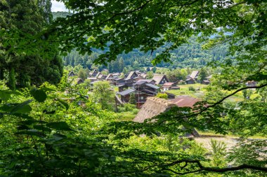 Shirakawa-go 'nun manzaralı köyü, geleneksel gthe-zukuri evleri ve huzurlu kırsal yaşam barındıran yemyeşil dağlara yuva yapmış durumda. Japonya