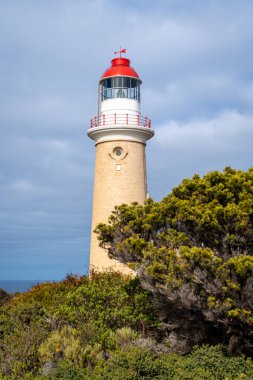 Cape Du Couedic deniz feneri Avustralya 'nın Kanguru Adası' ndaki Flinders Chase Ulusal Parkı 'nda kıyı bitkilerinin arasında yer alır. Kırmızı ve beyaz tepesi bulutlu gökyüzü ile çelişiyor.