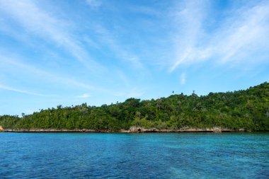 Waleakodi Adası 'ndaki beyaz kumlu ve yemyeşil ormanlı Lia sahilleri göz alıcı Togian takımadalarının bir parçası, Sulawesi, Endonezya