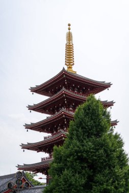 Senso-ji Tapınağı 'nın beş katlı tapınağı, Tokyo' nun Asakusa bölgesindeki barış ve geleneği simgeleyen ağaçların üzerinde zarif bir şekilde yükseliyor. Japonya