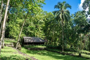 Geleneksel sazdan çatılı bir yapı, Kamuihei 'deki antik taş kalıntıları arasında duruyor, Nuku Hiva. Bu Polinezya miras alanı yemyeşil tropikal bitki örtüsüyle çevrilidir. Fransız Polinezyası