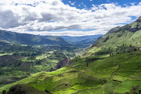 Çarpıcı bir Colca Kanyonu manzarası dramatik uçurumlar, yemyeşil yemyeşil ve açık mavi bir gökyüzü.