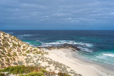 Avustralya, Kanguru Adası 'ndaki Seal Bay Koruma Parkı' nın kumlu sahilinde birkaç fok balığı bulunur.