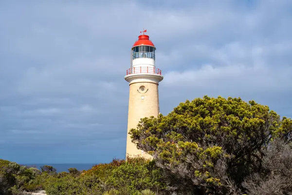 Cape Du Couedic deniz feneri Avustralya 'nın Kanguru Adası' ndaki Flinders Chase Ulusal Parkı 'nda kıyı bitkilerinin arasında yer alır. Kırmızı ve beyaz tepesi bulutlu gökyüzü ile çelişiyor.