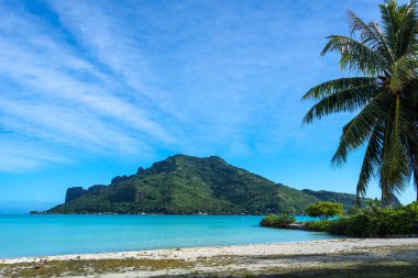 Palmiye ağaçlarıyla kaplı el değmemiş bir sahilden Maupiti Adası 'nın göz kamaştırıcı manzarası Fransız Polinezyası' nda turkuaz suları ve yemyeşil bir manzara sunuyor.