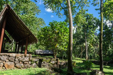 Geleneksel sazdan çatılı bir yapı, Kamuihei 'deki antik taş kalıntıları arasında duruyor, Nuku Hiva. Bu Polinezya miras alanı yemyeşil tropikal bitki örtüsüyle çevrilidir. Fransız Polinezyası