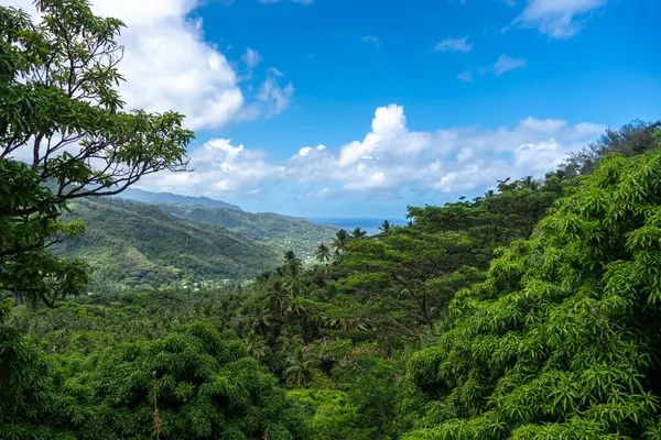 Atuona Körfezi, Hiva Oa, Fransız Polinezyası 'na bakan dağları kaplayan verimli tropikal orman. Göz kamaştırıcı yeşil tepeler, palmiye ağaçları ve uzak okyanus manzarası.