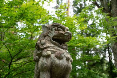 Japonya 'nın huzurlu kasabası Takayama' daki Shinmei Tapınağı 'nın girişinde orman tepe örtüsünün altında nöbet tutan taş komanu aslan köpek heykeli.