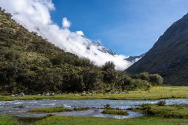 Kristal gibi berrak bir nehir yemyeşil bir vadi boyunca akar ve arka planda karla kaplı tepeler vardır. Bulutlar, Huaraz, Peru 'daki manzaralı Laguna 69 yürüyüşü boyunca And Dağları' nı kısmen kaplıyor.