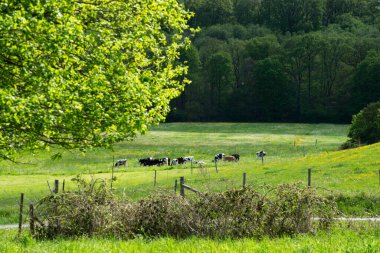 pr en valle de Chevreuse , France, rgion parisienne clipart