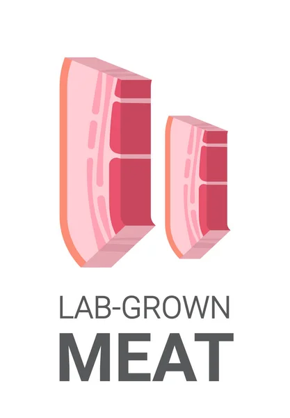 Pancetta Carne Rossa Coltivata Partire Cellule Animali Laboratorio Artificiale Produzione — Vettoriale Stock