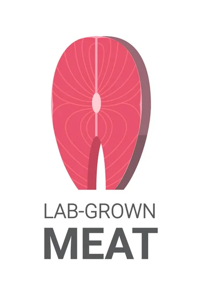Cultured Raw Red Meat Made Animal Cells Artificial Lab Grown — 图库矢量图片