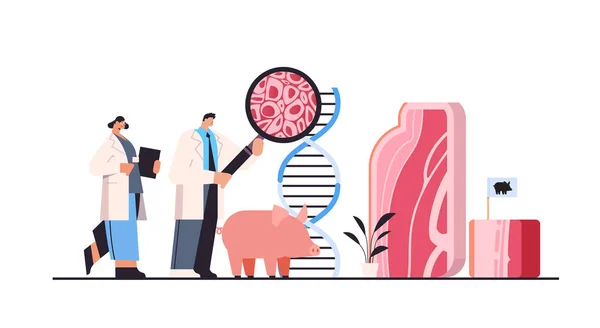 動物細胞から作られた培養赤肉のDnaを解析する科学者人工実験室で栽培された肉生産コンセプト横方向ベクトルイラスト — ストックベクタ
