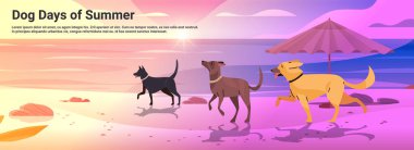 Mutlu ulusal köpek günü tebrik kartı çeşitli şirin köpek kumsal tatilinde evcil hayvan konsepti deniz manzaralı yatay vektör illüstrasyonunda dinleniyor.
