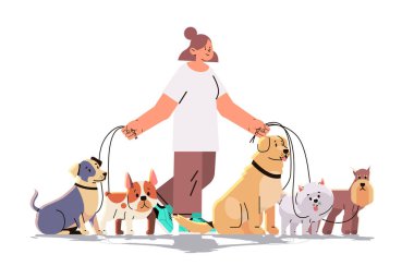 Kadın köpek bakıcısı, evcil hayvanlarla, evcil hayvanlarla, evcil hayvan hizmetleriyle, gönüllü evcil hayvan bakımı konseptiyle, yatay vektör ilülasyonuyla yürüyor.