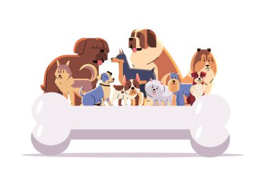 Mutlu Ulusal Köpek Günü tebrik kartı çeşitli şirin köpek pozları. Evcil hayvan konsepti yatay vektör illüstrasyonu.