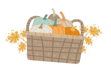 Farklı balkabaklarıyla sonbahar hasat sepeti Mutlu Şükran Günü festivali kutlama konsepti illüstrasyonları
