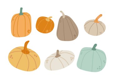 Farklı balkabakları sonbahar hasat festivalini ayarla Şükran Günü kutlaması konsepti illüstrasyonun kutlu olsun