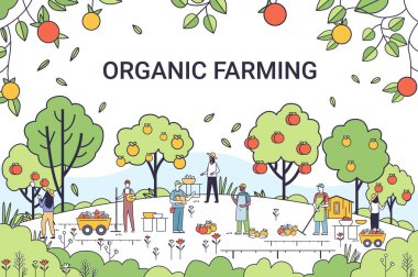Organik tarım sürdürülebilir çevre dostu uygulamalar meyve ağaçları hasat eden doğa minimalist çizgi sanat tarzı illüstrasyon