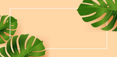 Şeftali arka planında beyaz kenarlı tropik canavar yaprakları. Vektör illüstrasyonu.