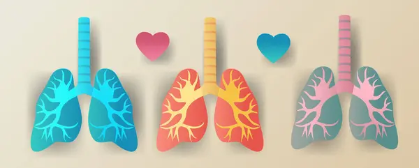 stock vector Lungs anatomy concept three colorful lungs with hearts paper cut style medical theme pastel background Vector illustration