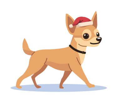 Chihuahua 'nın Noel Baba şapkası giymesi festival temalı şirin köpek beyaz arka planda yürüyor tatil tasarımı illüstrasyonu