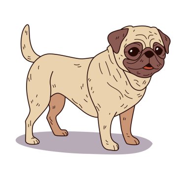 Çizgi film stili sevimli pug dog. Anlamlı gözleri ve beyaz arka planda buruşuk yüzü olan sevimli bir hayvan. Evcil hayvan temalı tasarımlar ve ürünler için mükemmel. Vektör illüstrasyonu.