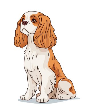 Köpek illüstrasyonu sevimli spanyel evcil hayvan kahverengi kürk karikatür tarzı izole edilmiş beyaz arka plan tasarım tasarımı vektör çizimi