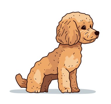 Kıvırcık kürklü şirin köpek beyaz arka planda kahverengi renkli hayvan hayvan tasarımı tasarım vektör illüstrasyonunda detaylı bir illüstrasyonla oturuyor.