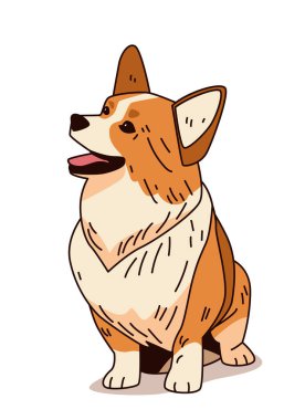Corgi dog çizgi film tarzı sevimli hayvan tasarımı turuncu beyaz kürklü oyuncu tasarım beyaz arka plan vektör illüstrasyonunda izole.