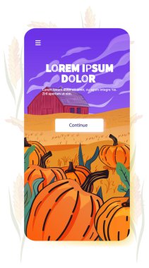 Balkabağı tarlası sonbahar hasat sahnesi ahır parlak turuncu balkabakları yeşil yapraklar mor gökyüzü mobil uygulama ekran örnekleme
