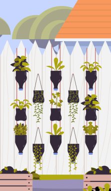 Plastik şişe ekiciler dikey bahçe bahçesi beyaz çit yeşil bitkiler geri dönüşüm DIY açık hava peyzaj düz tasarım illüstrasyon