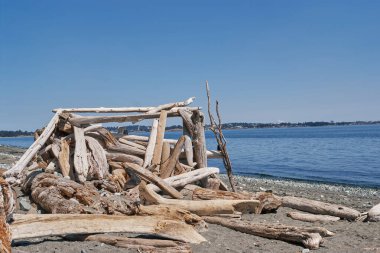 Victoria, Vancouver Adası, Kanada 'da kumlu kıyı şeridi boyunca uzanan ve arka planda okyanus bulunan ağaç kütüklerinden yapılmış bir kır sığınağı..