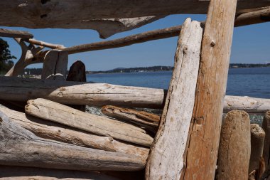 Victoria, Vancouver Adası, Kanada 'da kumlu kıyı şeridi boyunca uzanan ve arka planda okyanus bulunan ağaç kütüklerinden yapılmış bir kır sığınağı..