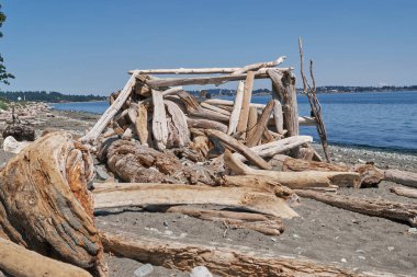 Victoria, Vancouver Adası, Kanada 'da kumlu kıyı şeridi boyunca uzanan ve arka planda okyanus bulunan ağaç kütüklerinden yapılmış bir kır sığınağı..