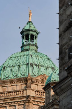 Victoria, Vancouver Adası 'ndaki British Columbia Parlamento Binası' nın kubbesi, ön planda kablolar ve ağaçlarla ele geçirildi..