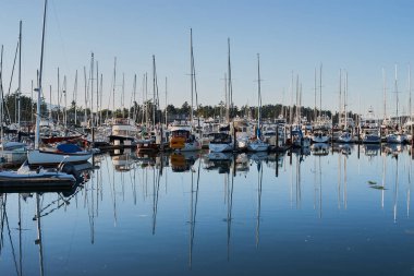Sidney Marina, Vancouver Adası 'nda sakin bir sabah sahnesi.