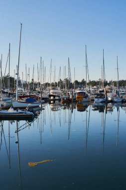 Sidney Marina, Vancouver Adası 'nda sakin bir sabah sahnesi.