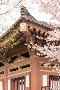 Qing uzun Tapınağı, xi an, Çin geleneksel Çince çatılı kiraz çiçeği.