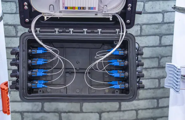 Bir Optik Bağlantı Noktalarına Bağlı Optik Lif Kablolar Stok Resim