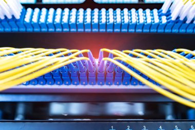 bir optik bağlantı noktalarına bağlı Optik lif kablolar