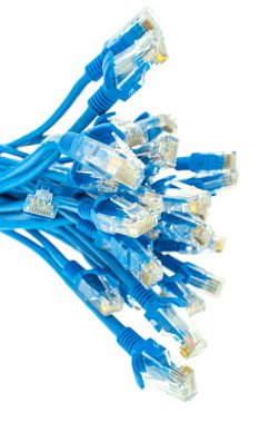 Beyaz arka plan üzerinde izole mavi ağ kabloları
